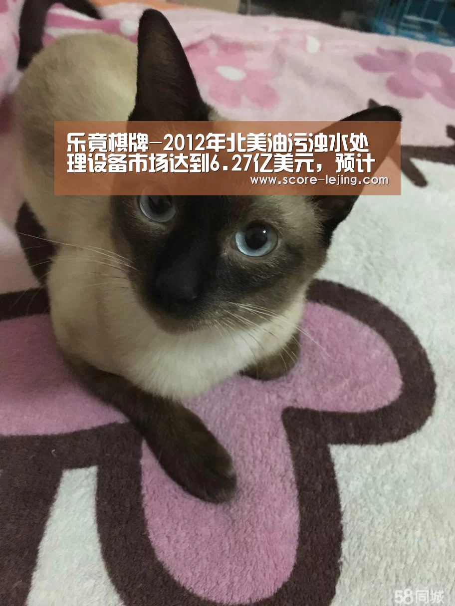 乐竟棋牌-2012年北美油污浊水处理设备市场达到6.27亿美元,预计未来稳定增长(图3) 乐竟体育app