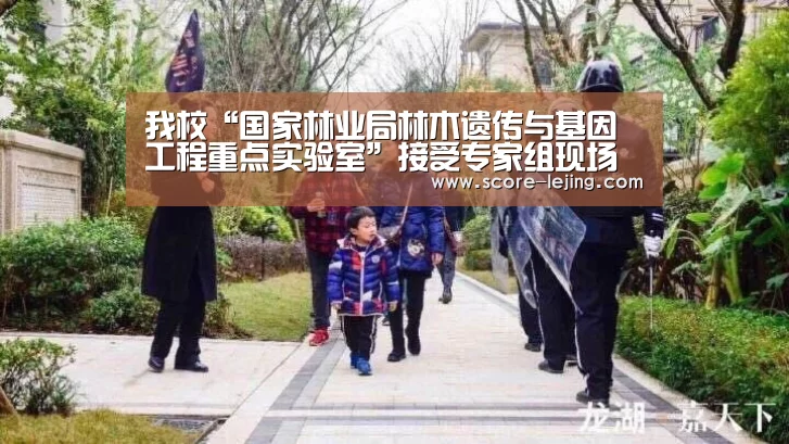 乐竟体育