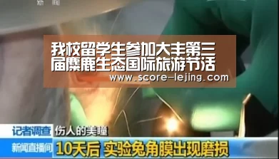 我校留学生参加大丰第三届麋鹿生态国际旅游节活动-乐竟体育app(图4) 乐竟体育