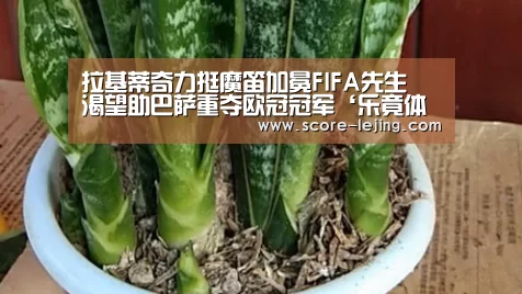 拉基蒂奇力挺魔笛加冕FIFA先生 渴望助巴萨重夺欧冠冠军‘乐竟体育app’(图2) 乐竟体育官方