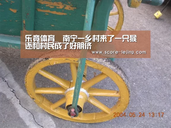 乐竟体育app